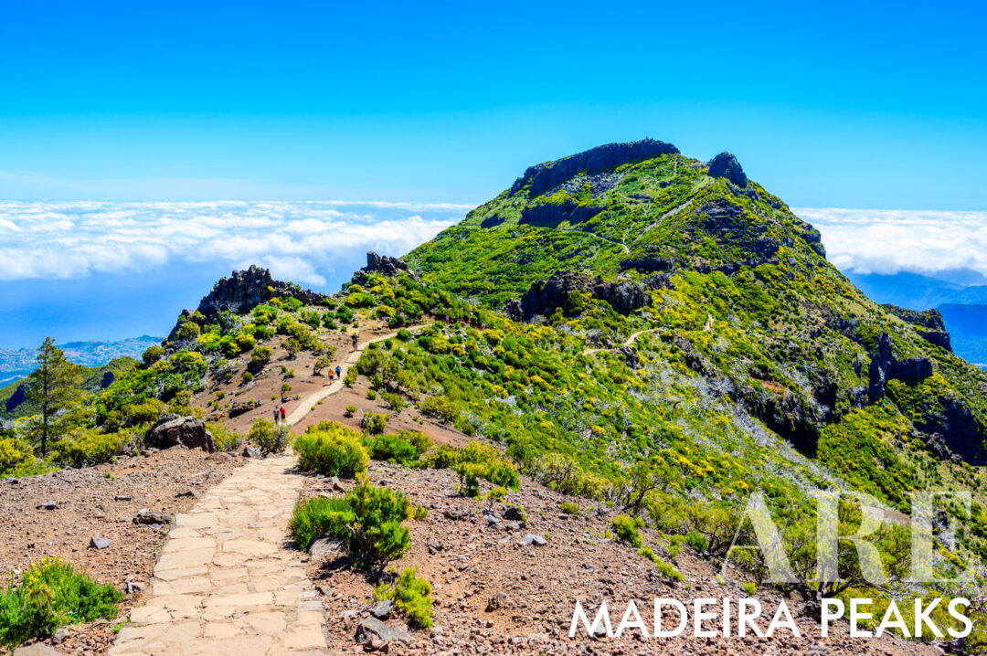 PR1 Vereda do Areeiro é um trilho que conecta três dos picos mais altos da Madeira. Começa no Pico do Areeiro (1818 m), passa pelo Pico das Torres (1851 m) e termina no Pico Ruivo (1862 m). Este trilho de 7 km de dificuldade moderada leva cerca de 3 horas e 30 minutos para ser completado e faz parte do Maciço Montanhoso Central, uma área da Rede Natura 2000. O trilho começa no miradouro do Pico do Areeiro e inclui túneis, encostas íngremes e uma subida desafiadora até o abrigo Casa de Abrigo do Pico Ruivo. Os caminhantes verão urze de alta altitude e espécies de aves únicas ao longo do caminho.