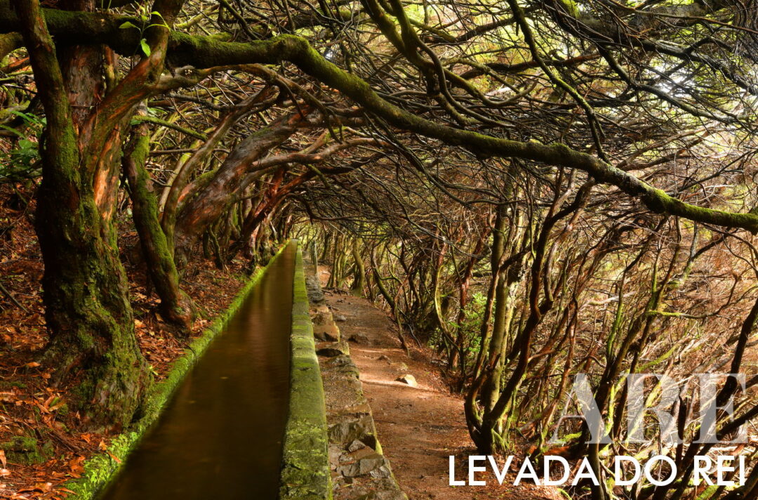 <strong>Levada do Rei</strong> é um trilho de 5,3 km (10,6 km ida e volta) na Ilha da Madeira. Leva cerca de 3 horas e 30 minutos para ser completado e é de <strong>dificuldade média</strong>. O trilho começa na Estação de Tratamento de Águas em Quebradas, São Jorge, e passa por uma floresta exótica e <strong>paisagens agrícolas de São Jorge e Santana</strong>. Ao longo do caminho, pode-se ver túneis formados por vegetação diversa. O destaque é chegar ao Ribeiro Bonito, um santuário natural com vegetação densa da floresta Laurissilva. O trilho termina no Moinho de Água de São Jorge, um moinho histórico ainda em funcionamento que mói cereais cultivados na região.