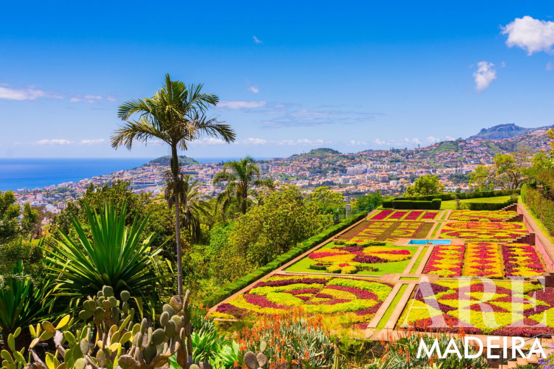 O Jardim Botânico da Madeira, acessível por teleférico a partir do Monte, autocarro ou táxi, apresenta uma coleção diversificada de plantas exóticas, terraços paisagísticos e vistas deslumbrantes sobre o Funchal e a paisagem circundante. Requer entrada paga.