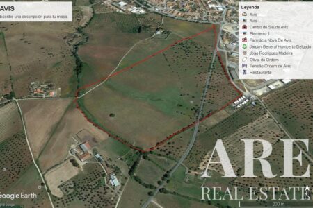 Plot for sale in Avis